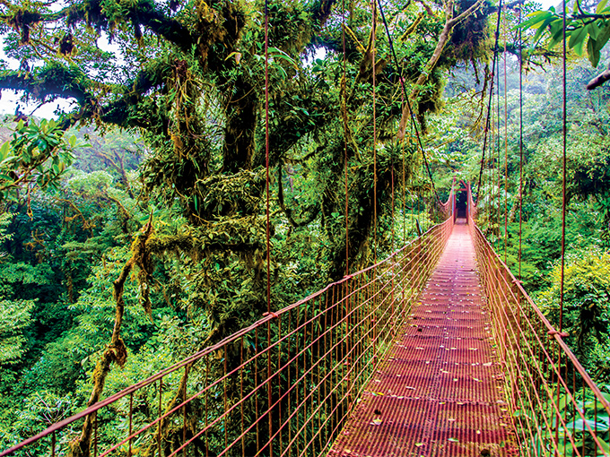 Image Amerique Latine Costa Rica pont suspendu au Parc National Arenal