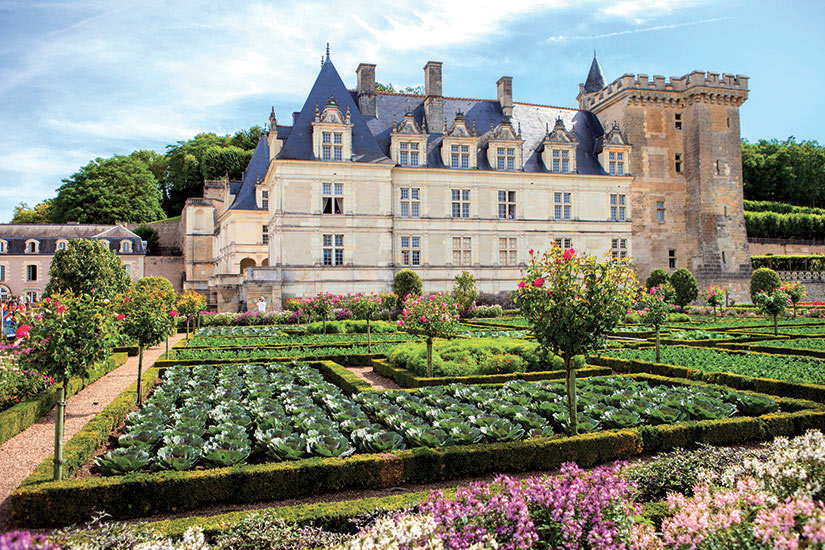 image France Villandry chateau et jardin  fo