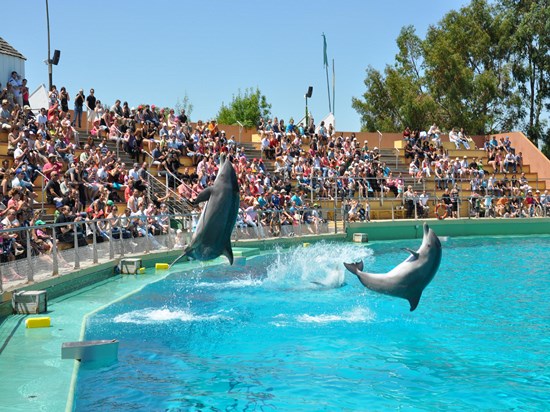 image France parc planete sauvage dauphin
