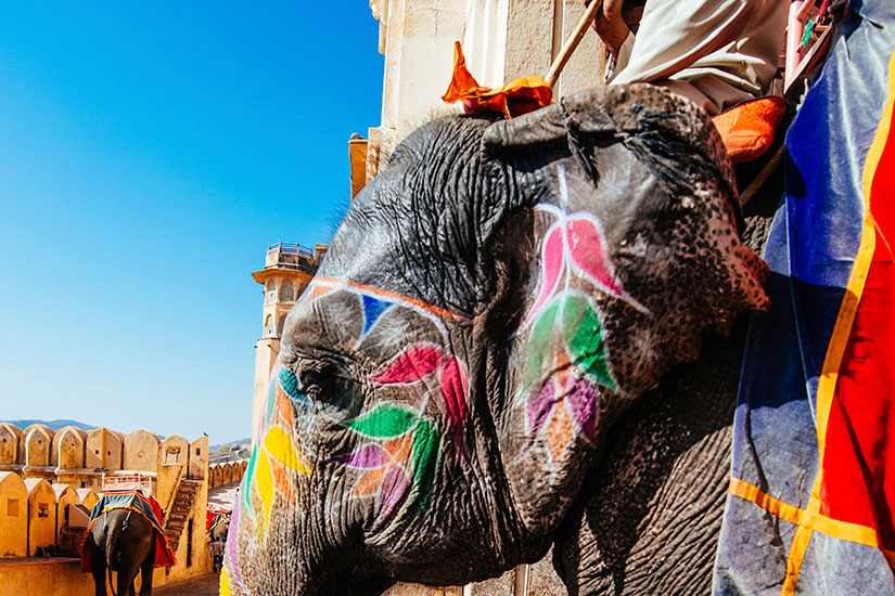 image Indie Jaipur Fort Amber Elephant  it