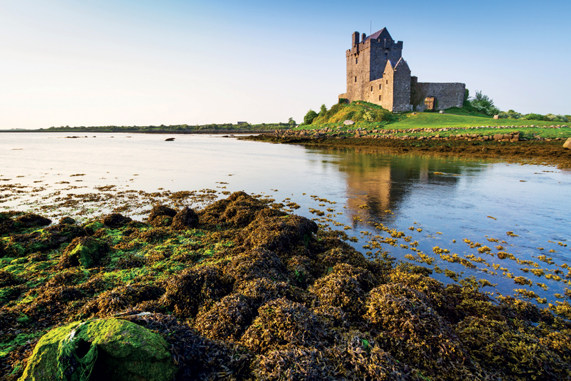 image Irlande galway chateau dunguaire 72 as_77796816
