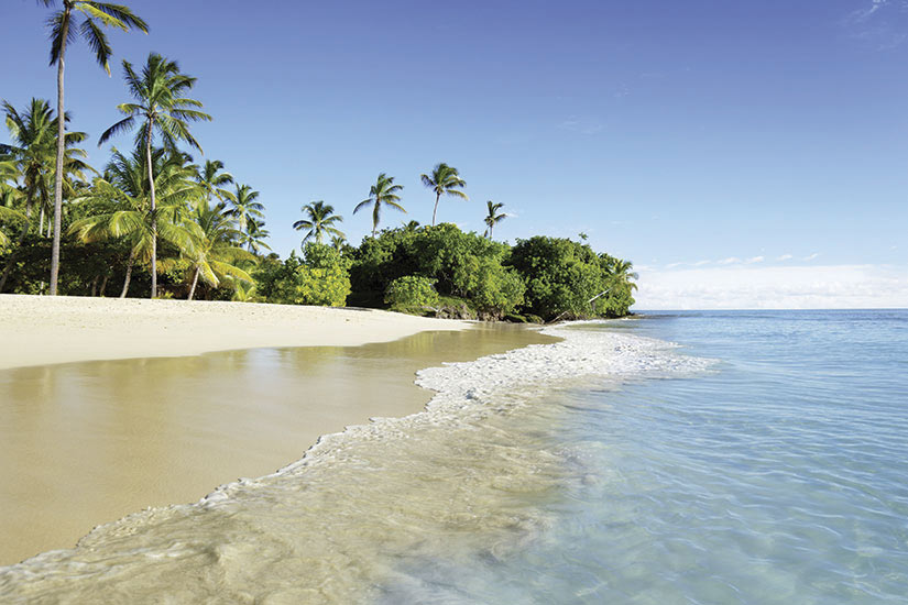 image Republique Dominicaine Mer plage palmiers  it