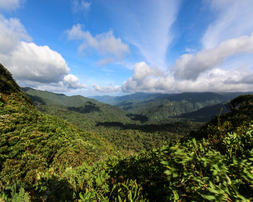 image costa rica monteverde