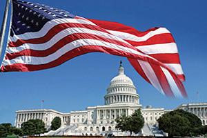 (vignette) Vignette Etats Unis Washington Capitol et drapeau  it