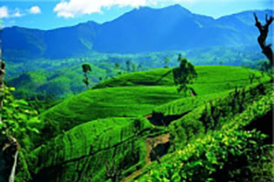(Image) ceylan-srilanka