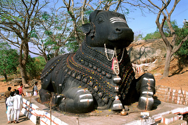 inde mysore nandy bull