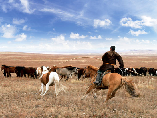 (Image) mongolie steppes 