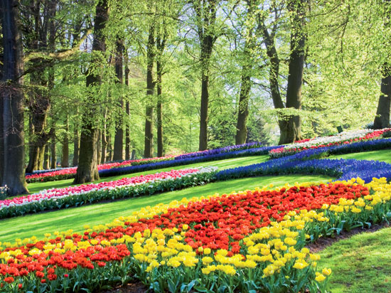 (Image) pays bas hollande venlo la floriade  fotolia